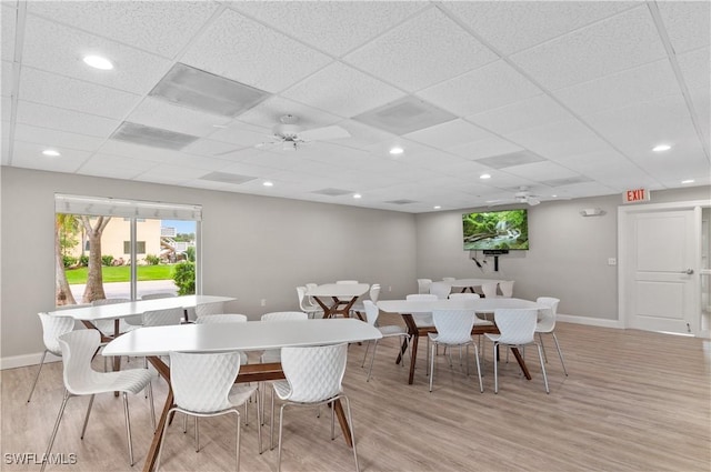 dining space with a drop ceiling, ceiling fan, and light hardwood / wood-style flooring