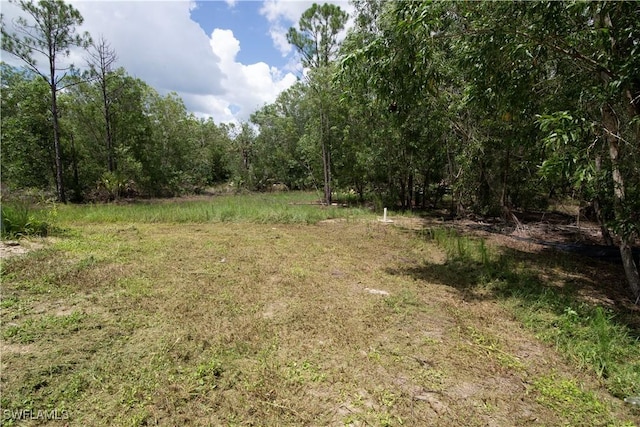 view of landscape with a wooded view