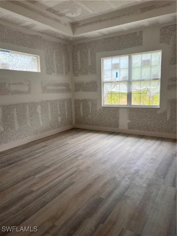 empty room featuring a wealth of natural light, a raised ceiling, baseboards, and wood finished floors