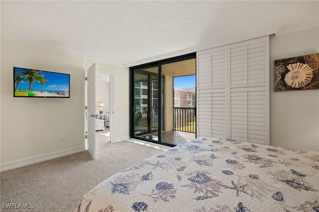 bedroom featuring crown molding, carpet floors, expansive windows, a textured ceiling, and access to outside