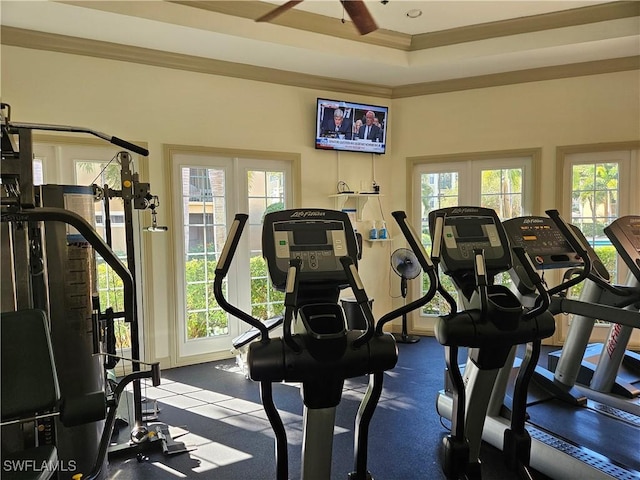 exercise room featuring ornamental molding and plenty of natural light