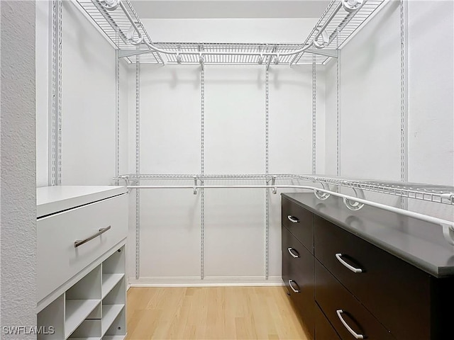 spacious closet with light hardwood / wood-style flooring