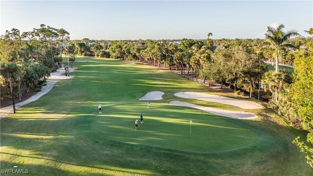 16648 Bobcat Ct, Fort Myers, FL 33908 - view of community featuring golf course view, view of wooded area, and a putting area