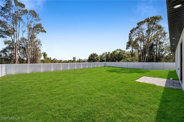 view of yard featuring a patio