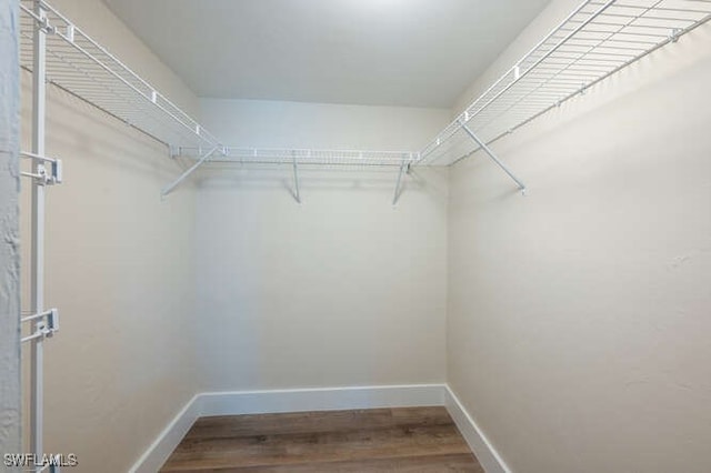 walk in closet with hardwood / wood-style flooring