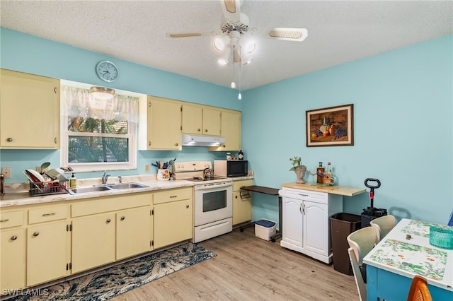 kitchen featuring sink, light hardwood / wood-style flooring, a textured ceiling, electric range, and ceiling fan