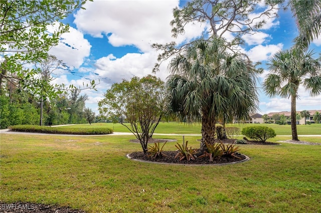 view of home's community with a lawn