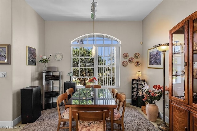 carpeted dining room featuring a wealth of natural light