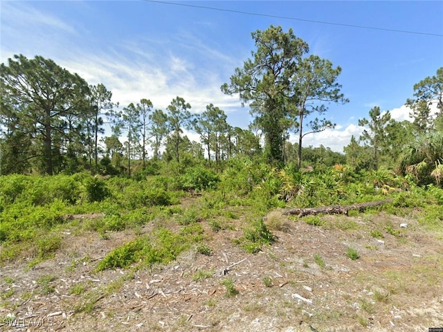 625 Trinity St E, Lehigh Acres FL, 33974 land for sale