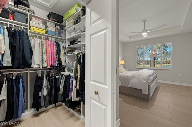 walk in closet featuring a tray ceiling, wood-type flooring, and ceiling fan