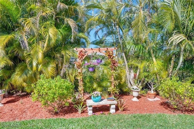 715 96th Ave N, Naples, FL 34108 - view of yard