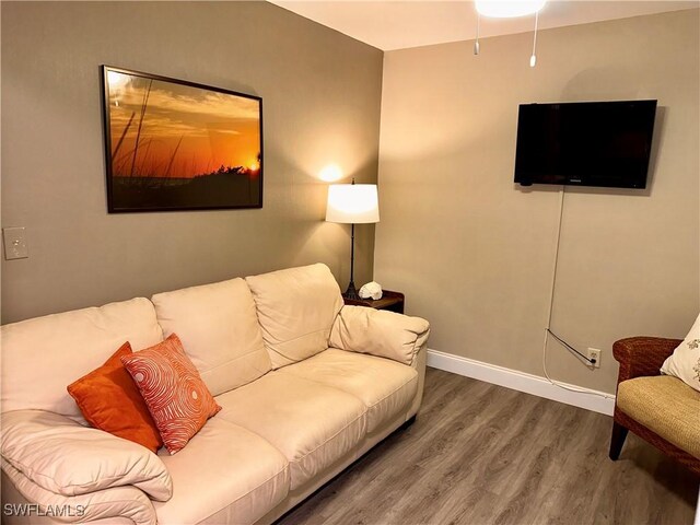 living room with hardwood / wood-style floors