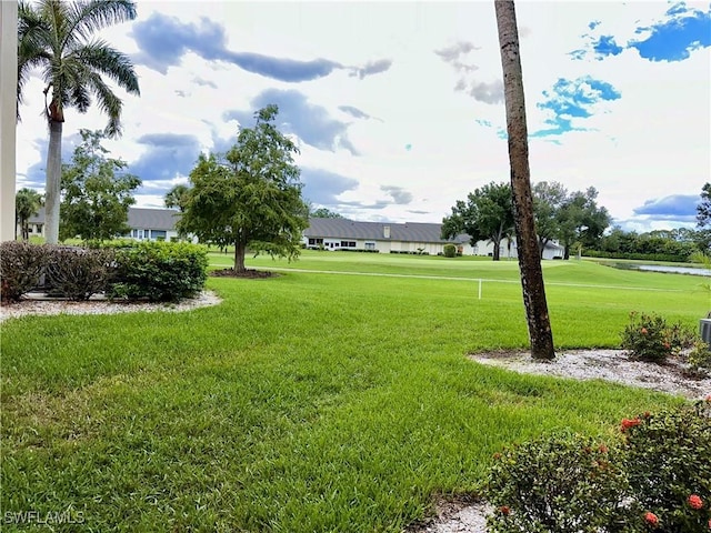 view of home's community with a yard