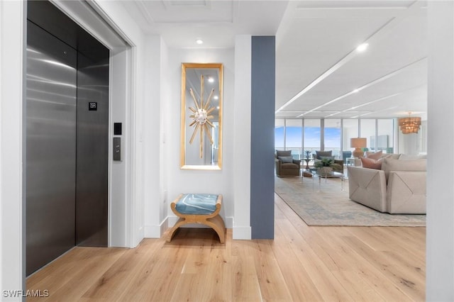 corridor featuring expansive windows, elevator, and light wood-type flooring