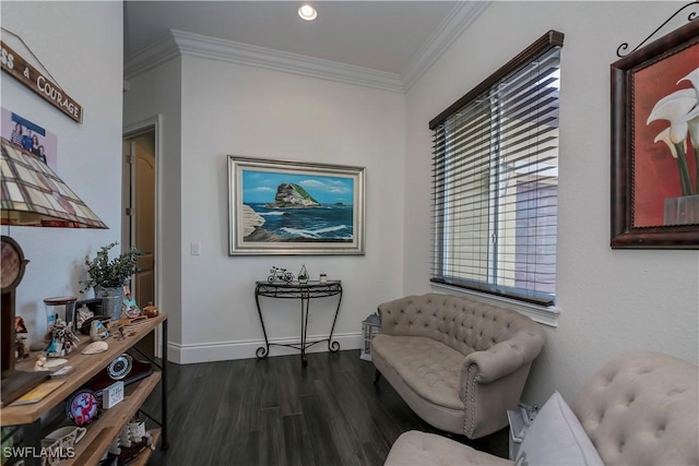 living area featuring crown molding and dark wood-type flooring