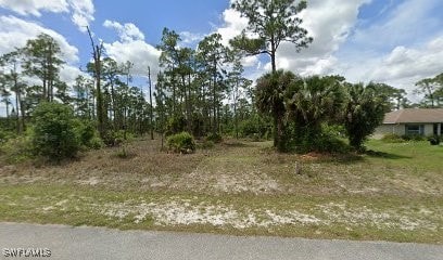 411 Johns Ave, Lehigh Acres FL, 33972 land for sale