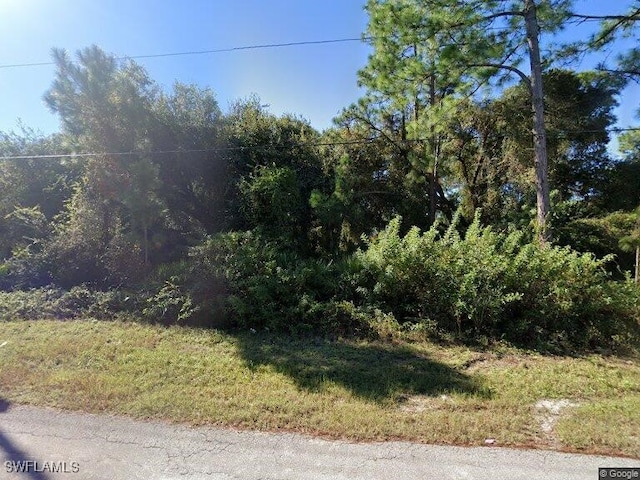 Address Not Disclosed, Lehigh Acres FL, 33973 land for sale