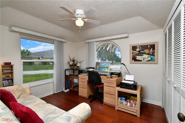 office area with ceiling fan, a tray ceiling, and dark hardwood / wood-style floors