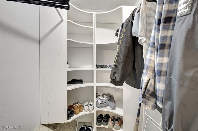 view of walk in closet