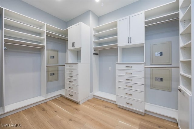 spacious closet with light wood-type flooring