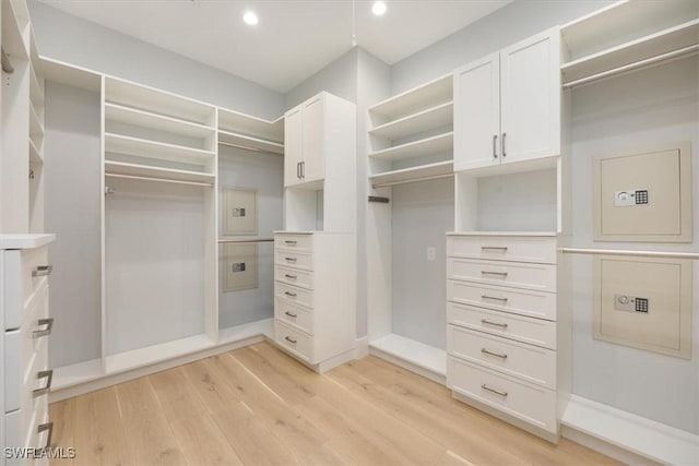 spacious closet with light wood-style floors