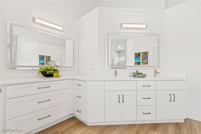 bathroom featuring vanity and wood-type flooring