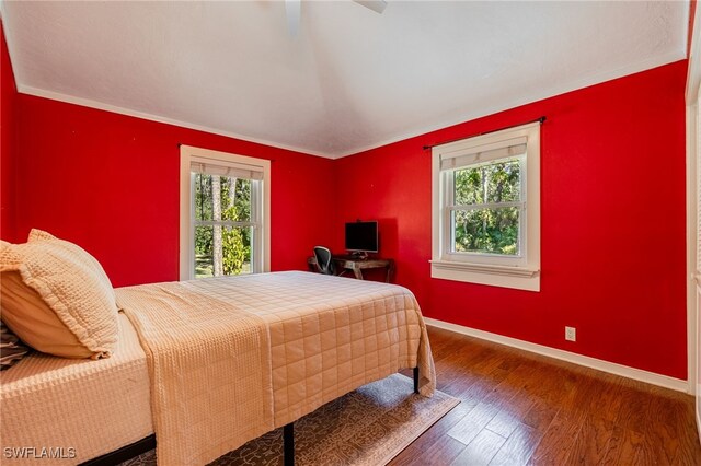 bedroom featuring dark hardwood / wood-style floors and multiple windows