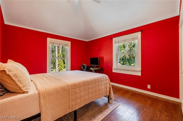 bedroom featuring multiple windows and dark hardwood / wood-style flooring