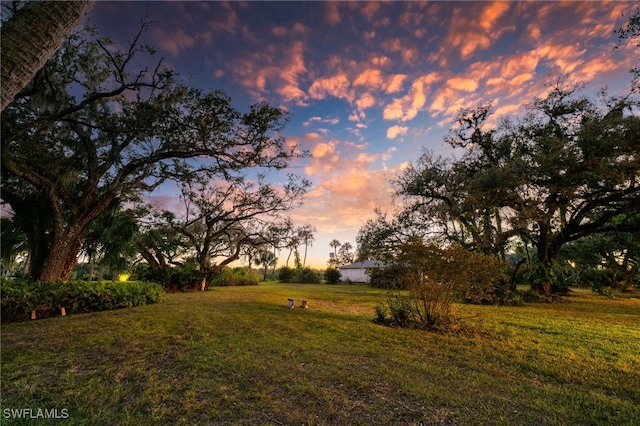 view of yard at dusk