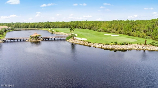 birds eye view of property featuring a water view