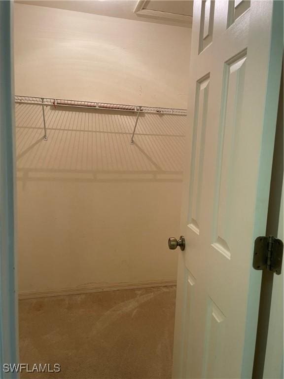 spacious closet featuring carpet flooring