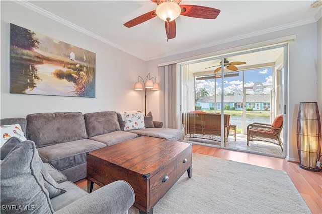 living room featuring ceiling fan, ornamental molding, and light hardwood / wood-style floors