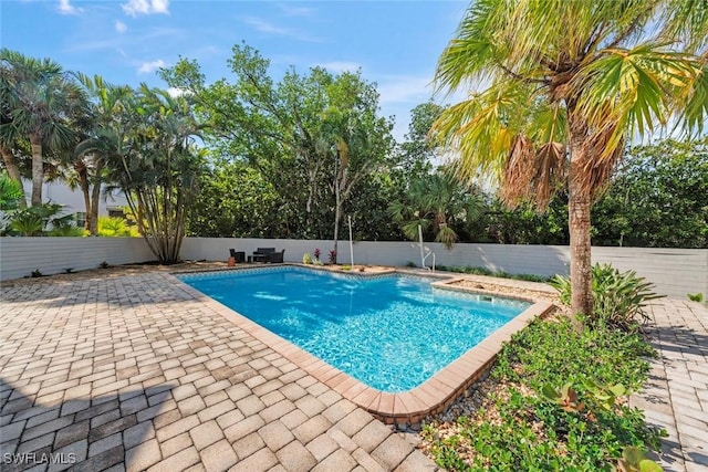 view of pool with a patio