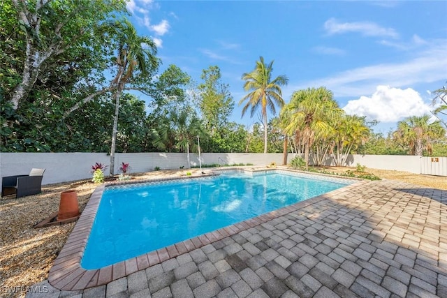 view of pool with a patio