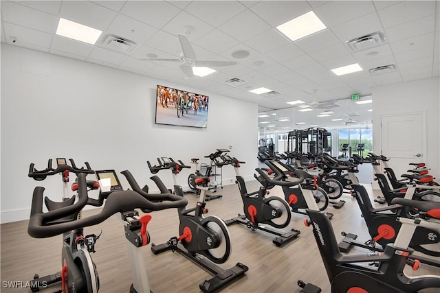 exercise room featuring a paneled ceiling and hardwood / wood-style floors