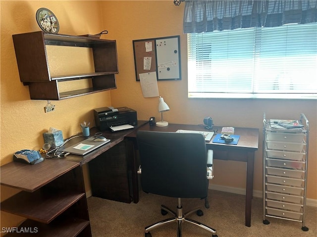 view of carpeted home office