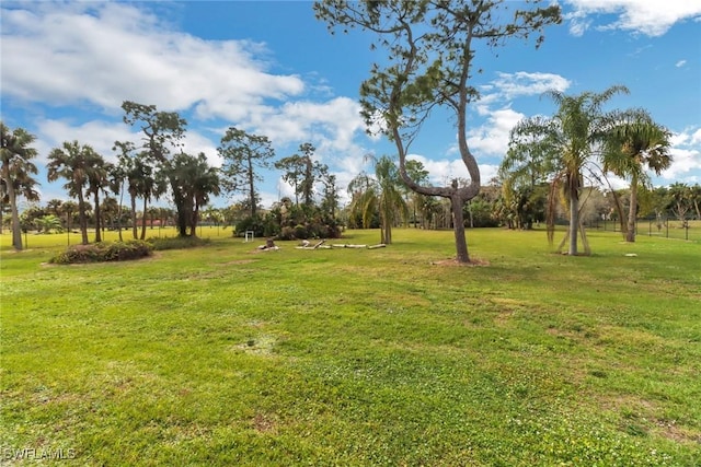 view of home's community featuring a yard