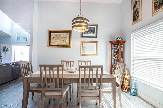 dining area with hardwood / wood-style flooring and a chandelier