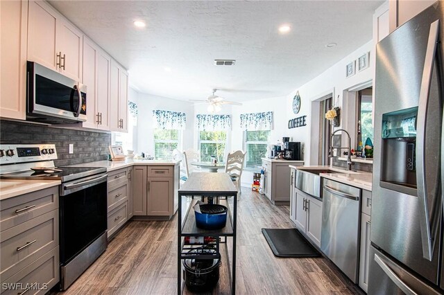 kitchen with appliances with stainless steel finishes, gray cabinetry, backsplash, and dark hardwood / wood-style flooring