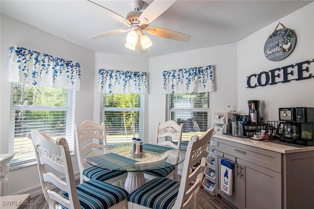 dining area with ceiling fan