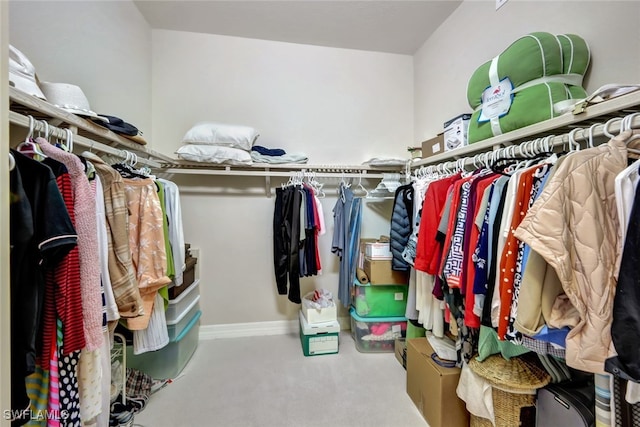 spacious closet featuring carpet floors