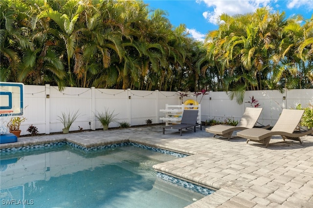 view of pool with a patio, a fenced backyard, and a fenced in pool