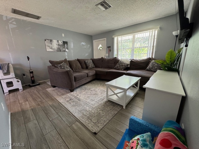 living room featuring a textured ceiling