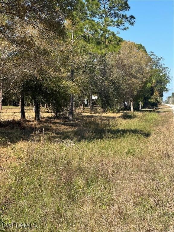 593 Hunting Club Ave, Clewiston, FL 33440