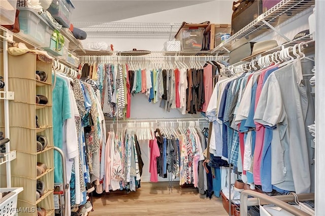 spacious closet featuring wood finished floors