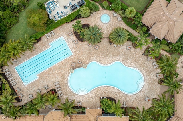 view of swimming pool