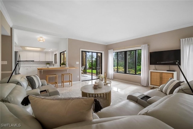 living room featuring crown molding