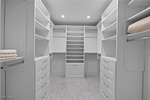 view of spacious closet