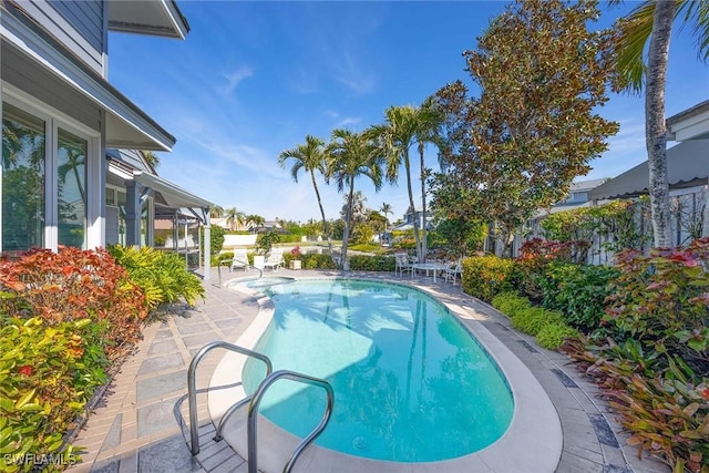 view of swimming pool with a patio