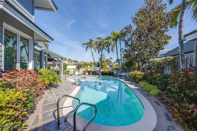 view of pool featuring a patio area